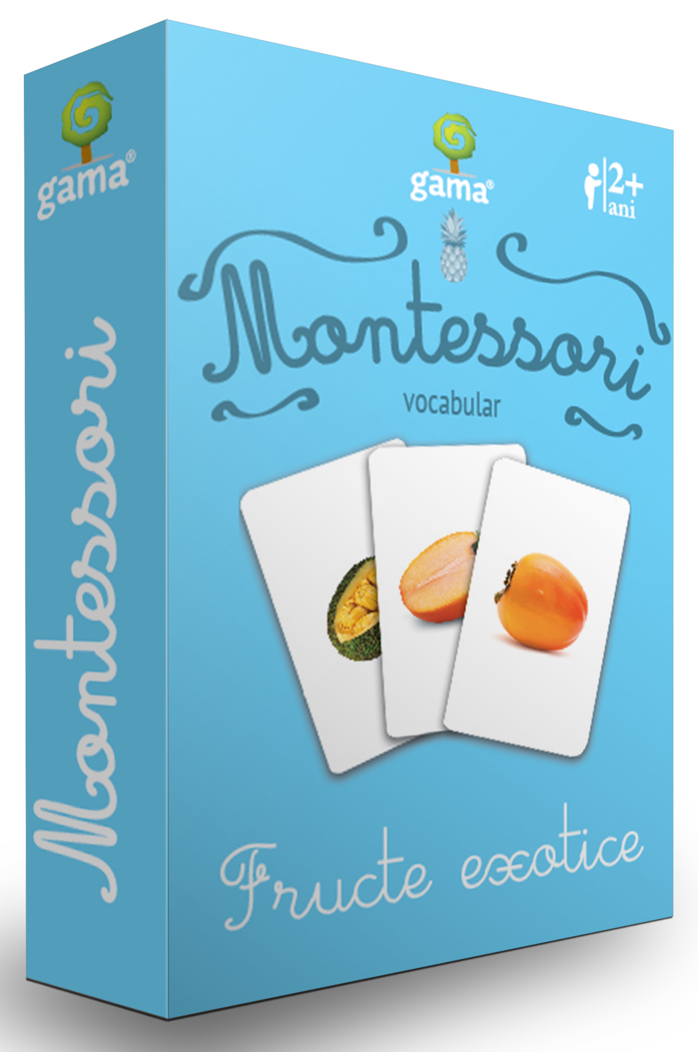 Fructe exotice Vocabular.Fructe exotice/ CJEd. Montessori. Seria 2 - Image 1
