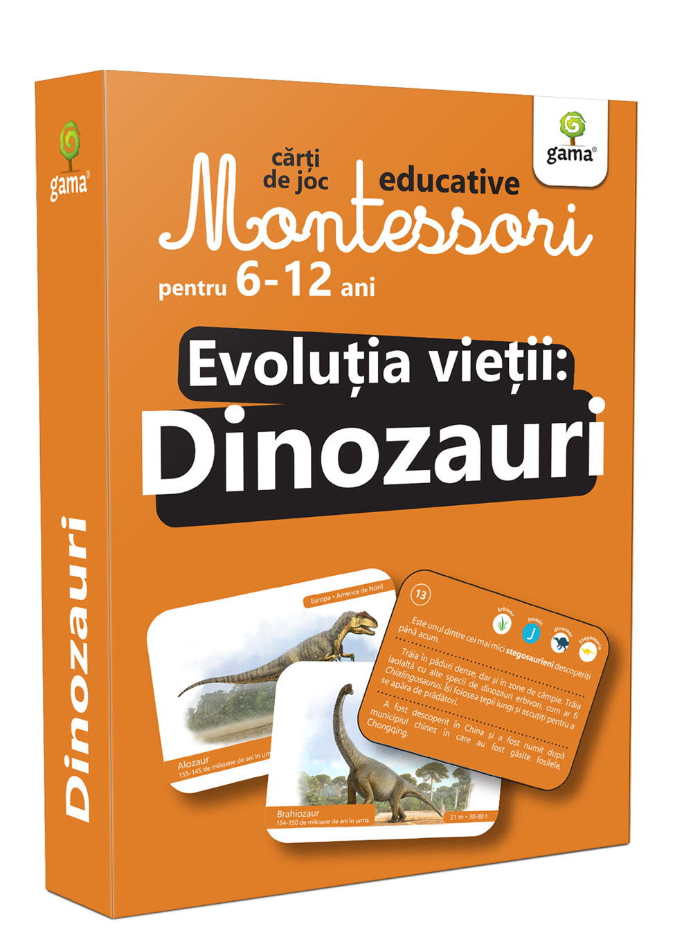 Evoluția vieții: Dinozauri Evolutia vietii: Dinozauri/ Cjed. Montessori 6-12 ani - Image 1